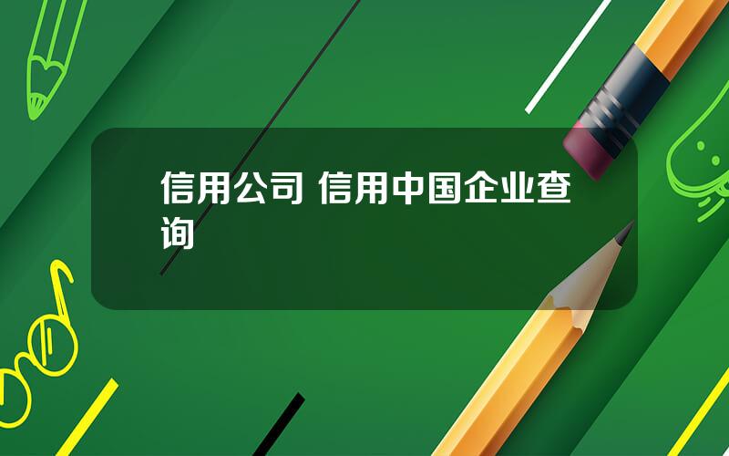 信用公司 信用中国企业查询